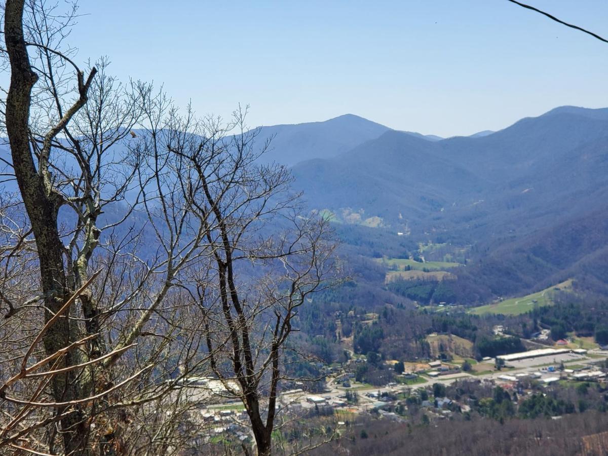 Treehouse Cathedral In Blue Ridge Mountains, Nc Villa เบิร์นสวิลล์ ภายนอก รูปภาพ