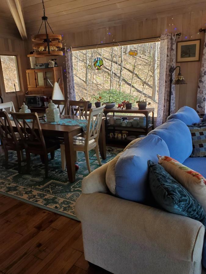 Treehouse Cathedral In Blue Ridge Mountains, Nc Villa เบิร์นสวิลล์ ภายนอก รูปภาพ