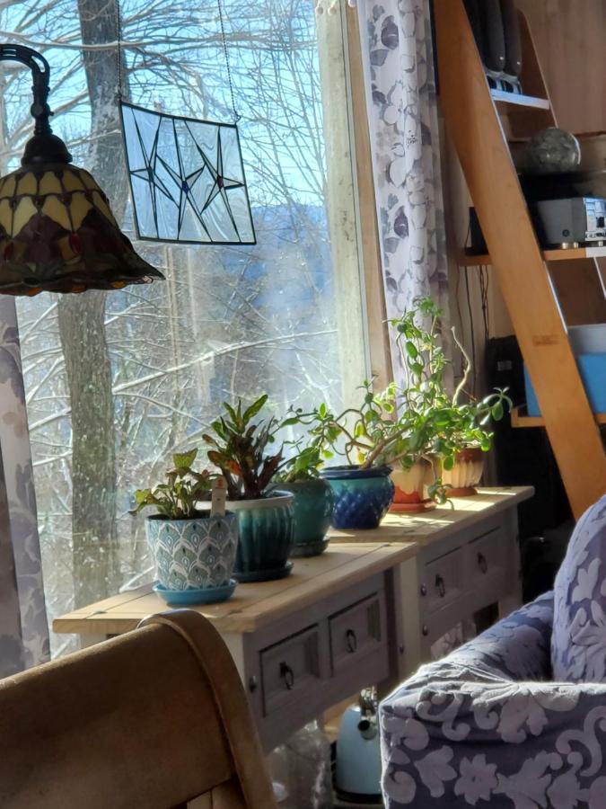 Treehouse Cathedral In Blue Ridge Mountains, Nc Villa เบิร์นสวิลล์ ภายนอก รูปภาพ