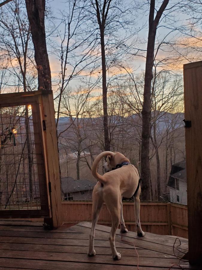 Treehouse Cathedral In Blue Ridge Mountains, Nc Villa เบิร์นสวิลล์ ภายนอก รูปภาพ