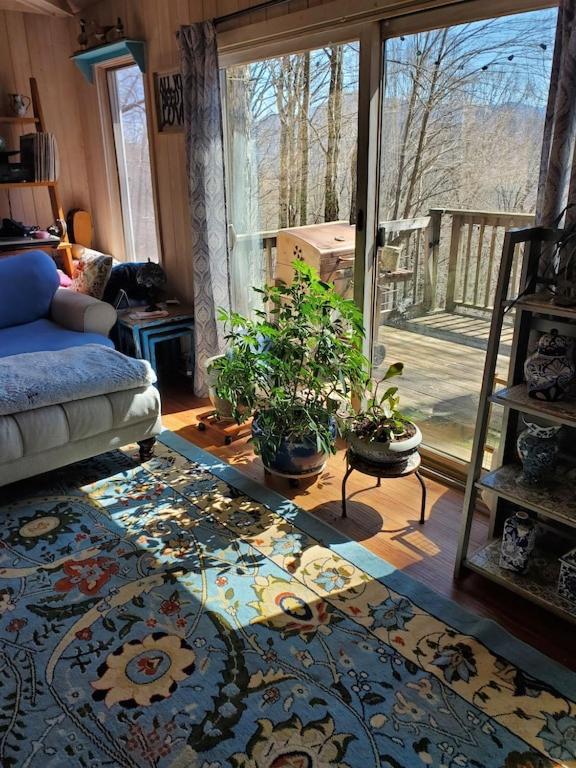 Treehouse Cathedral In Blue Ridge Mountains, Nc Villa เบิร์นสวิลล์ ภายนอก รูปภาพ